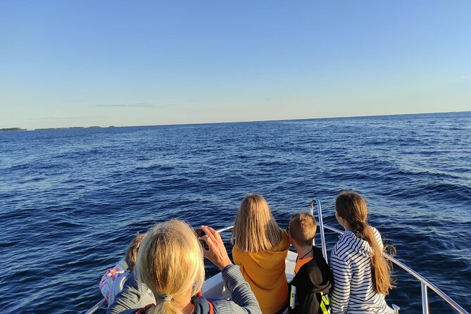 Dolphin Sunset Adventure with Speedboat - Sunset, photographs, and the ride home