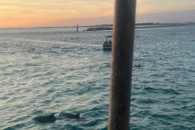 Dolphin & Sunset Cruises - What the 90-Minute Route Feels Like