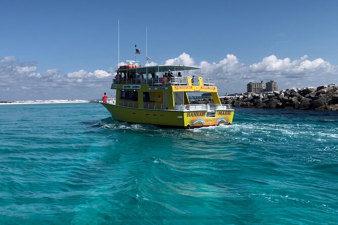 Dolphin & Sunset Cruises - Why Dolphin Sightings Are the Main Event