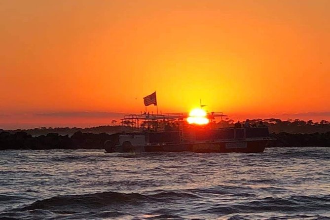 Dolphin & Sunset Cruises in Destin FL aboard the Hydrojet - Watching dolphins from a moving boat