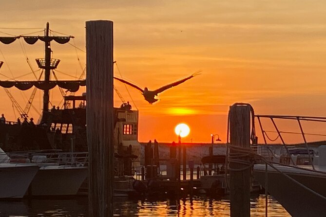 Dolphin & Sunset Cruises in Destin FL aboard the Hydrojet - What the crew adds to the experience