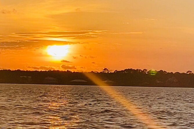 Dolphin Sunset Tour in Orange Beach - Key points to know before you book