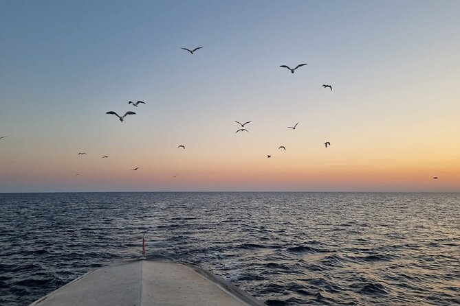 Dolphin & Sunset tour with Brijuni panorama - Is $65.31 a fair price?