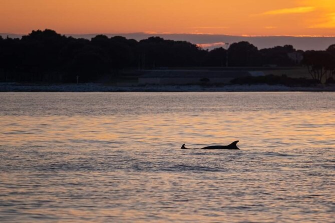 Dolphin & Sunset tour with Brijuni panorama - Who will enjoy this Brijuni sunset cruise?