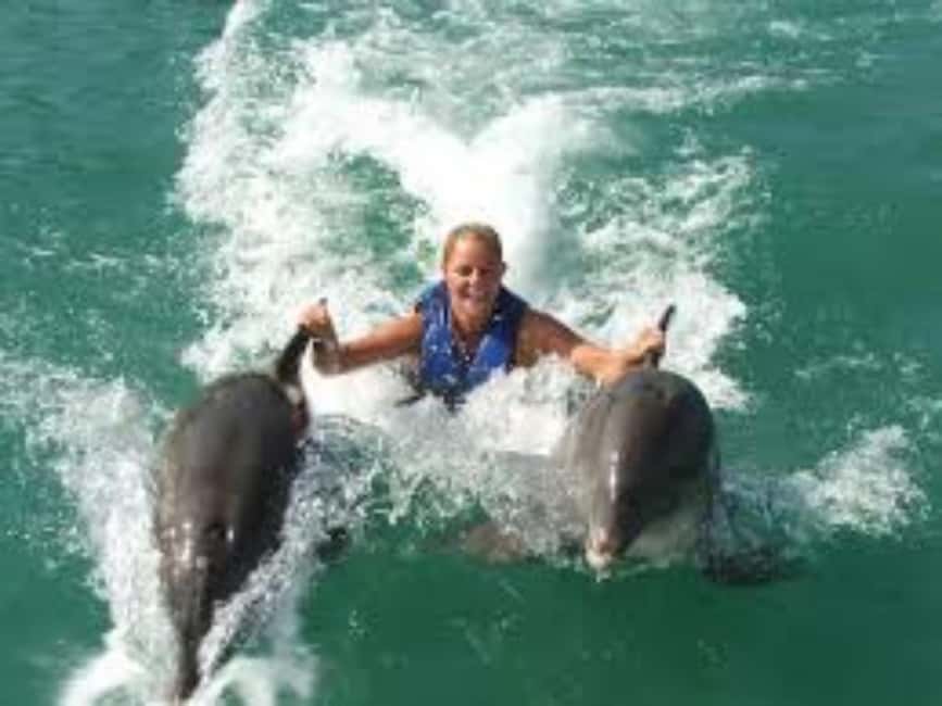 Dolphin Swim Adventure - Key Points Before You Book