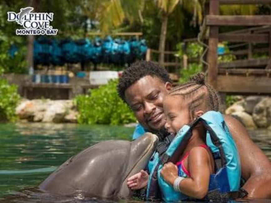 Dolphin Swim Adventure - A Three-Hour Visit, From Arrival to Goodbye
