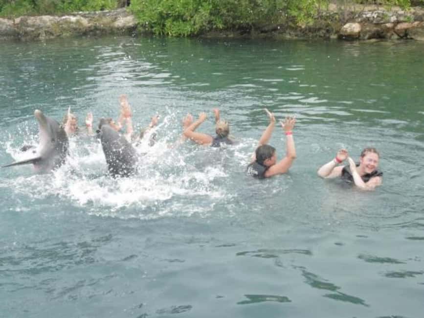 Dolphin Swim Adventure - What the Handshakes and Hugs Are Like