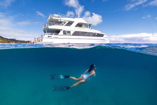 Dolphin & Tangalooma Wrecks Snorkel Cruise & Lunch - Brisbane - From Brisbane to Moreton Bay on the Spirit of Mulgumpin