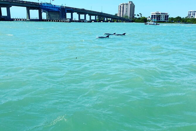 Dolphin Tiki Cruise around Fort Myers Beach - Why a private boat changes the experience