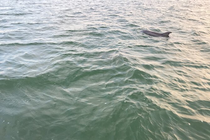 Dolphin Tiki Cruise around Fort Myers Beach - The best time to book this cruise