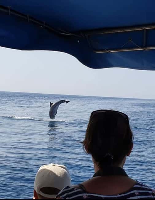 Dolphin tour 2 hours - Leaving Small Port Zaton for the open sea