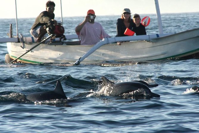 Dolphin Tour and Sunrise Watching in Lovina Beach - All Inclusive - Leaving Bali’s south coast before sunrise