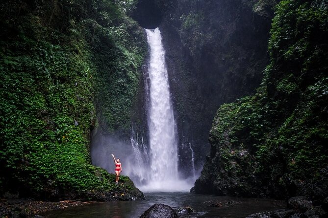 Dolphin Tour and Sunrise Watching in Lovina Beach - All Inclusive - Wanagiri Swing above Lake Buyan