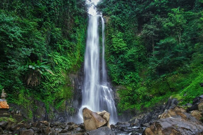 Dolphin Tour and Sunrise Watching in Lovina Beach - All Inclusive - Optional waterfall and temple additions