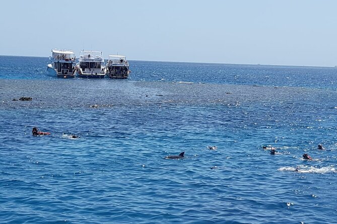 Dolphin Tour Banana Boat from Soma /Sahl Hasheesh/makadi/Safaga - Crew support and safety in the water