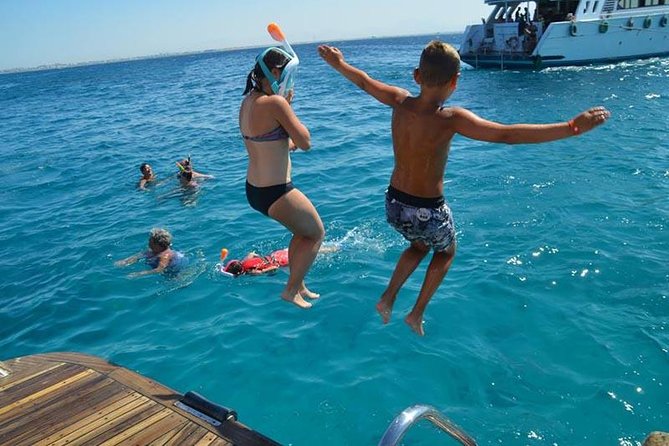 Dolphin Tour in Hurghada - Buffet lunch, fruit, and drinks on board