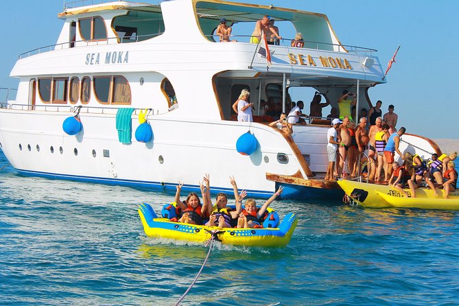 Dolphin Tour in Hurghada - How the crew shapes the day