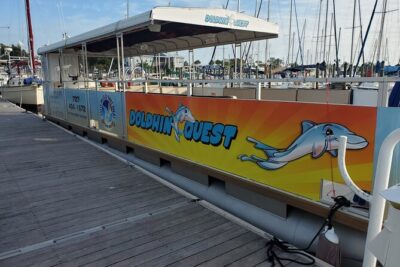 Dolphin Tour in St. Pete Beach