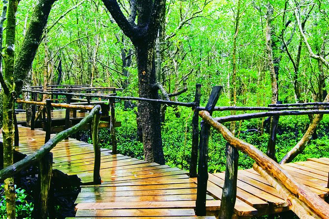 Dolphin Tour Jozan Forest, Kuza Cave, Paje Becach &The Restaurent - Starting from Matemwe for the Mnemba boat trip