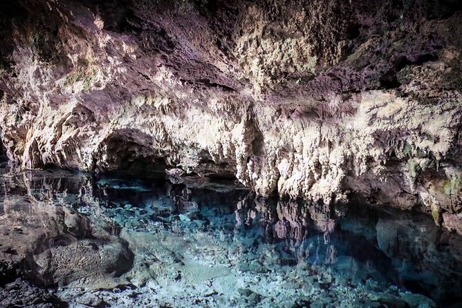 Dolphin tour, Jozani Forest, Jambiani Kuza Cave, Paje Beach &The Rock restaurent - Paje Beach, with time to slow down