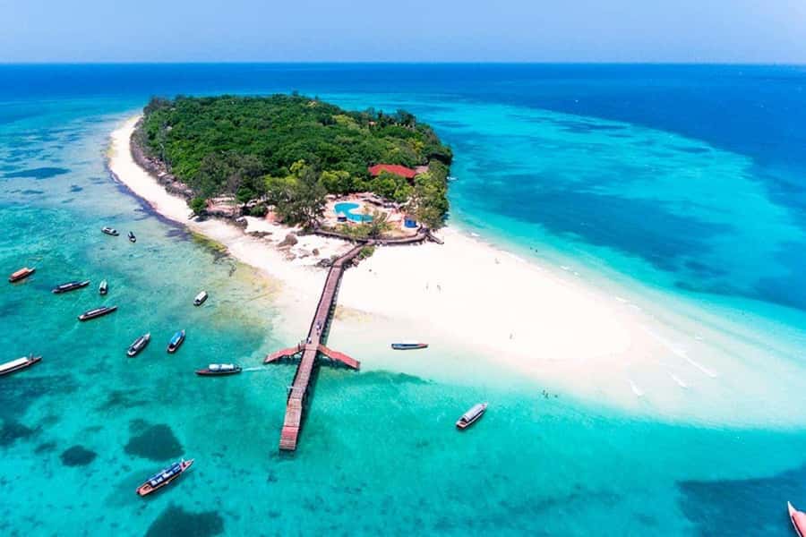Dolphin Tour, Jozani Forest, Prison Island, Island Pongwe - Prison Island and the giant tortoise encounter