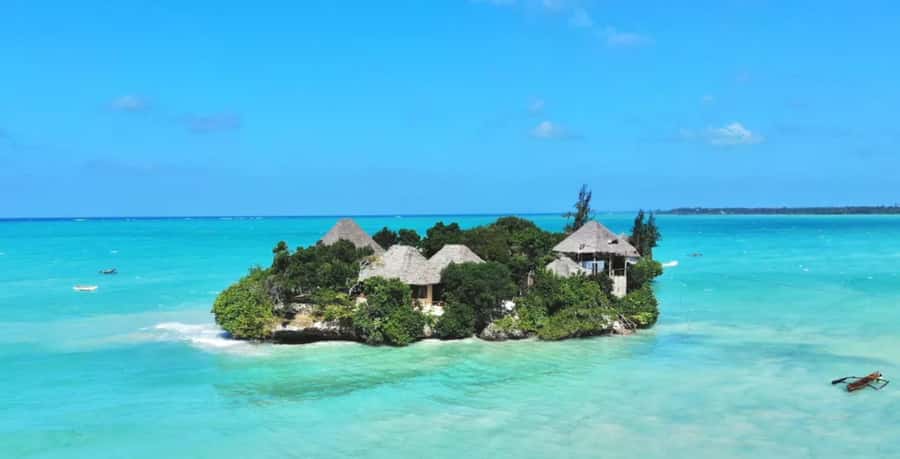 Dolphin Tour, Jozani Forest, Prison Island, Island Pongwe - Who will enjoy this Zanzibar day most?