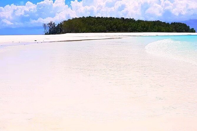 Dolphin Tour, Jozani Forest Tour, Kuza Cave Tour, Paje Beach,The Rock Restaurant - Paje Beach for sand, shallow water, and a pause