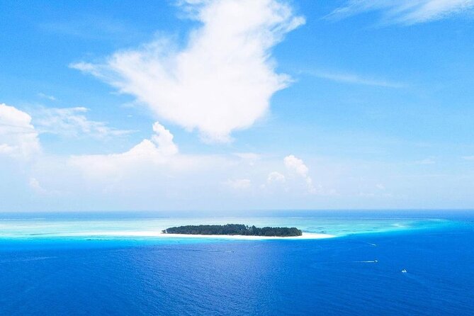 Dolphin Tour, Jozani Forest Tour, Kuza Cave Tour, Paje Beach,The Rock Restaurant - Mnemba Island and the morning on the water