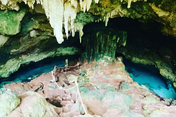 Dolphin Tour; Kuza Cave Tour; Paje Beach; The Rock Restaurant; Jozani Forest - Paje Beach: your chance to slow down