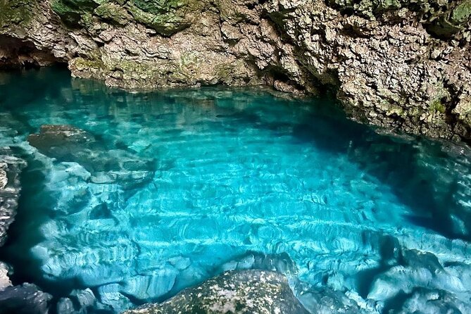 Dolphin Tour; Kuza Cave Tour; Paje Beach; The Rock Restaurant; Jozani Forest - What the $128 price really covers