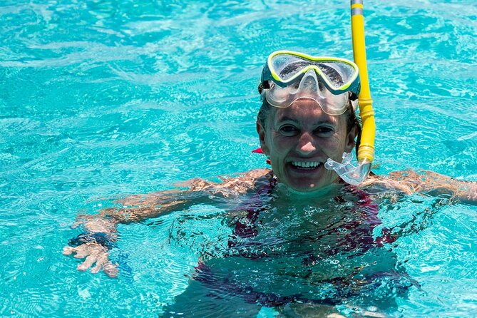 Dolphin Tour & Snorkeling at Mnemba Island - Finding Dolphins in Open Water