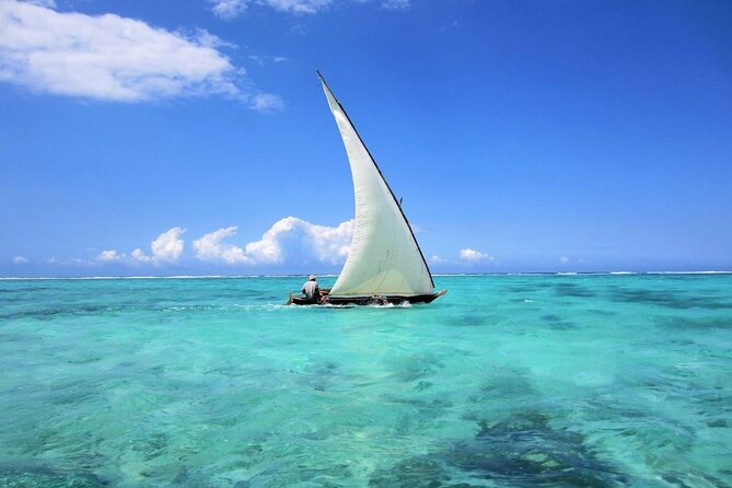 Dolphin Tour & Snorkeling at Mnemba Island - Booking and Cancellation Details
