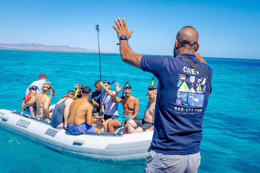 Dolphin Tour with Red Sea Fun. The Best in Hurghada - Leaving Hurghada at 8:30 a.m.