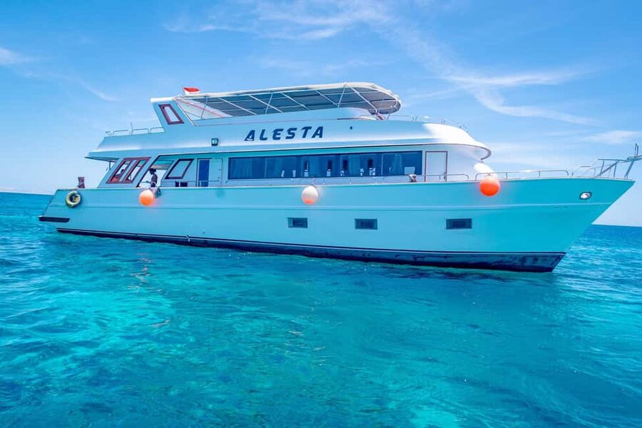 Dolphin Tour with Red Sea Fun. The Best in Hurghada - Two coral reefs make the backup plan worthwhile