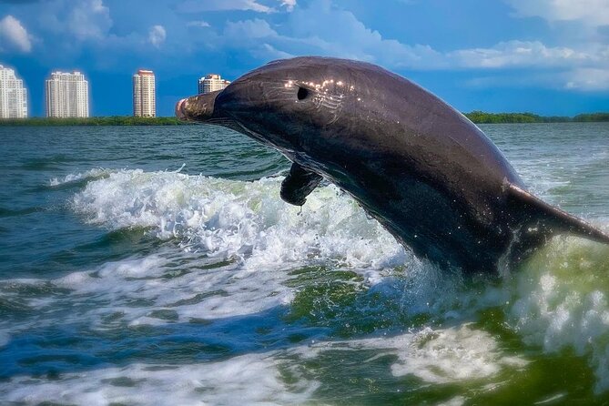 Dolphin Tours - Fort Myers Beach / Naples - Setting out from Lovers Key Boat Ramp