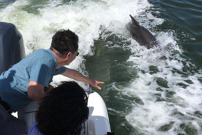 Dolphin Tours - Fort Myers Beach / Naples - Captain Mike’s role in the experience