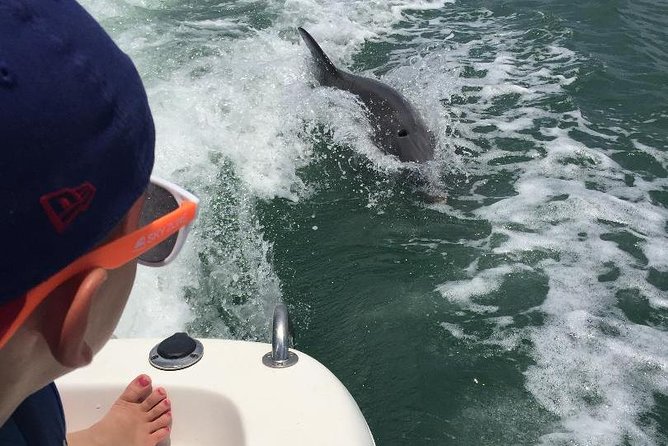 Dolphin Tours - Fort Myers Beach / Naples - Is $350 a good value for six people?