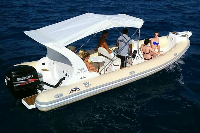 Dolphin trip with private speedboat and snorkeling - Drinks, fruit, and the value of a short trip
