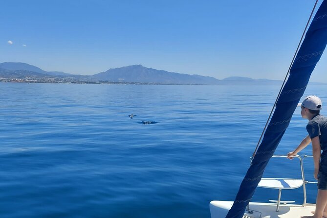 Dolphin trips on a catamaran - What the Lagoon Catamaran 380 Feels Like