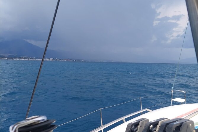 Dolphin trips on a catamaran - Crew Service and Family Comfort