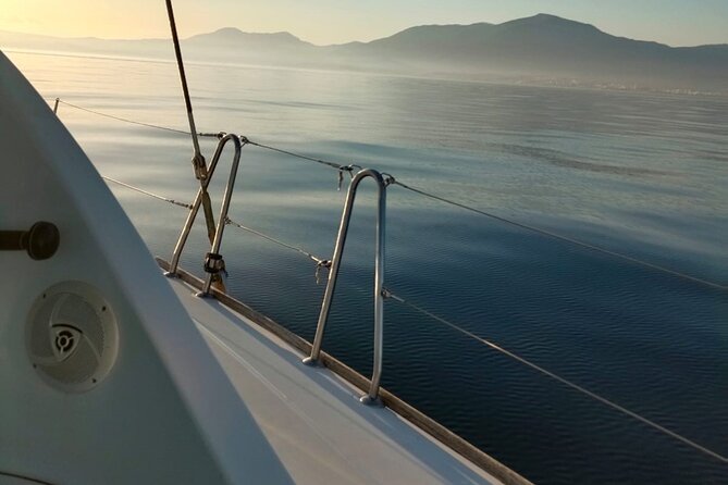 Dolphin trips on a catamaran - The Dolphin Search at Los Delfines