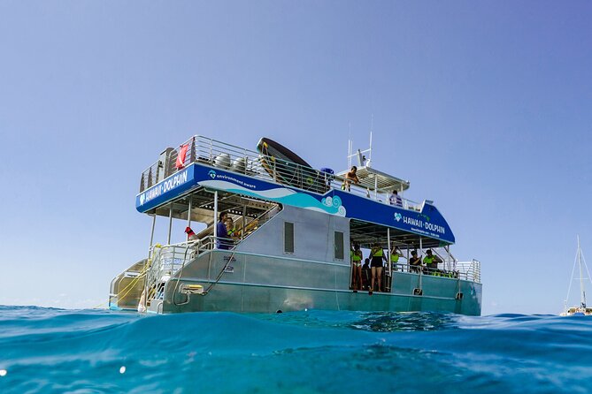 Dolphin Watch Cruise with Waterslide & Snorkeling on Oahu - Dolphins first, then a full afternoon on the water