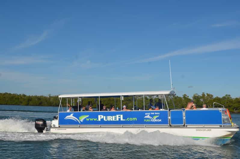 Dolphin Watch/Eco Cruise - Key points to know before you book