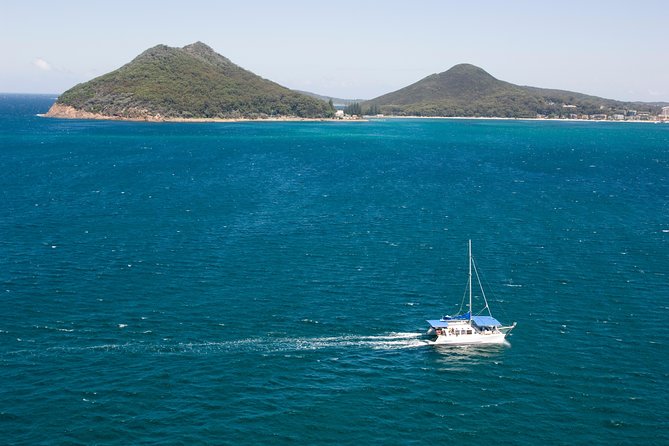 Dolphin Watch + Sailing - Port Stephens - Is $35.86 good value?