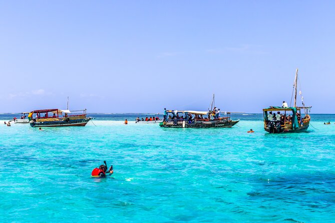 Dolphin Watch & Snorkeling at Kisite Marine Park & Wasini Island - Key points to know before booking