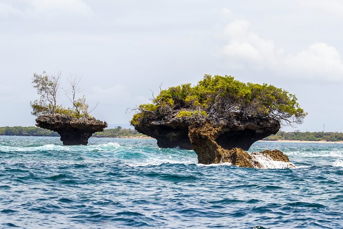 Dolphin Watch & Snorkeling at Kisite Marine Park & Wasini Island - Dolphins, whales, and realistic wildlife expectations