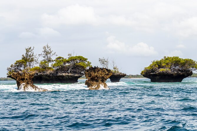 Dolphin Watch & Snorkeling at Kisite Marine Park & Wasini Island - Wasini Island lunch and local food