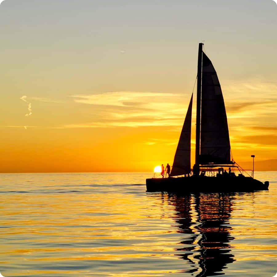 Dolphin Watch + Sunset Sail - A 42-foot catamaran built for open views