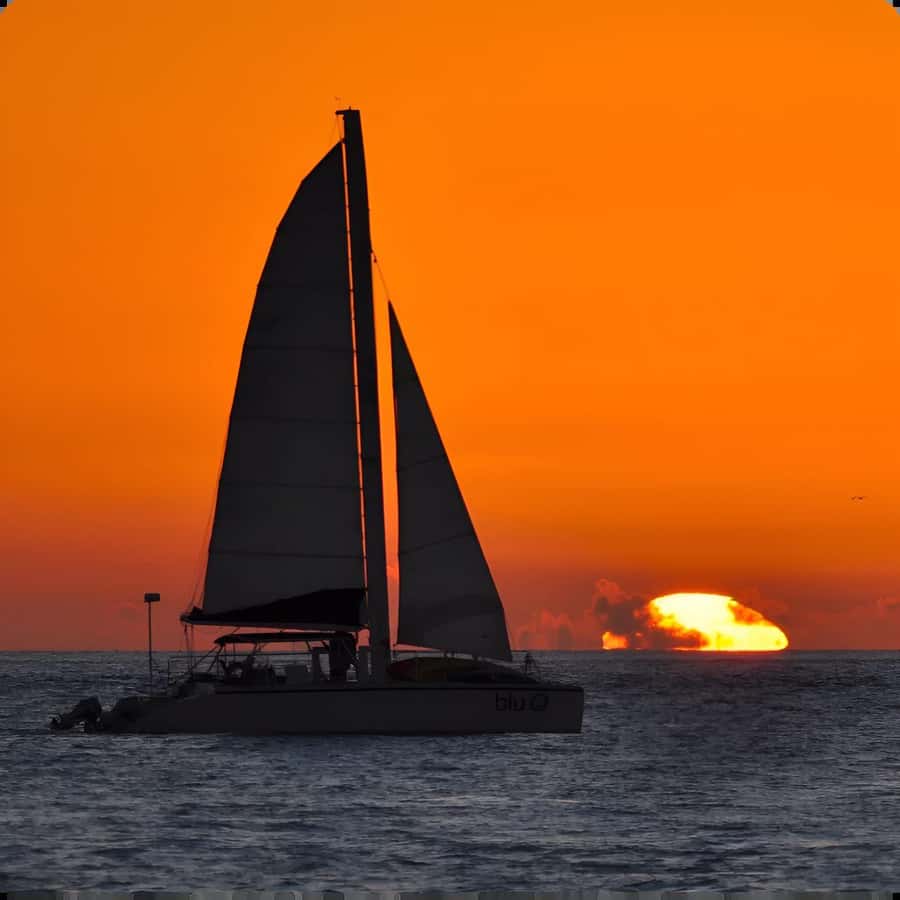 Dolphin Watch + Sunset Sail - Starting at 120 Margaret Street