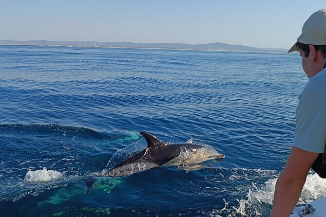 Dolphin Watching + 2 Islands Tour - From Faro - Key points to know before booking